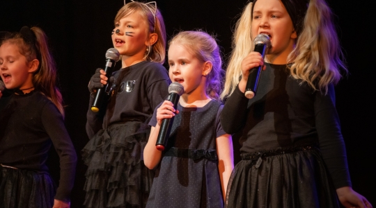 Zdjęcie 12 - Koncert "Z Archiwum Polskiej Piosenki"