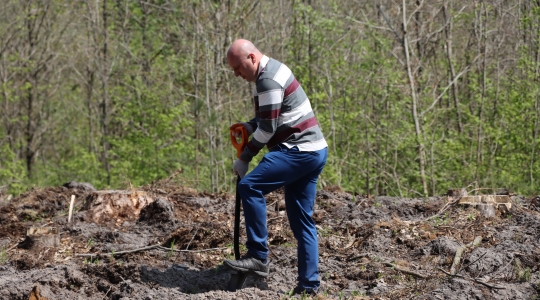 Zdjęcie 1 - Łączą Nas Drzewa - akcja nasadzeń w kraśnickim lesie