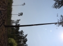 Zdjęcie 15 - Łączą Nas Drzewa - akcja nasadzeń w kraśnickim lesie