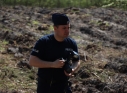 Zdjęcie 30 - Łączą Nas Drzewa - akcja nasadzeń w kraśnickim lesie