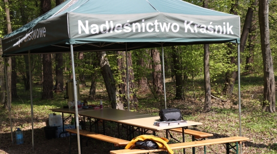 Zdjęcie 31 - Łączą Nas Drzewa - akcja nasadzeń w kraśnickim lesie