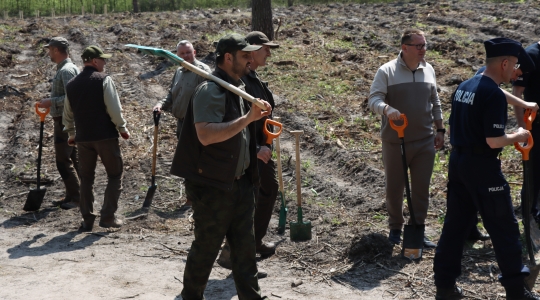 Zdjęcie 33 - Łączą Nas Drzewa - akcja nasadzeń w kraśnickim lesie