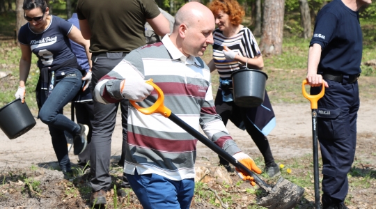 Zdjęcie 37 - Łączą Nas Drzewa - akcja nasadzeń w kraśnickim lesie