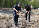 Zdjęcie 46 - Łączą Nas Drzewa - akcja nasadzeń w kraśnickim lesie