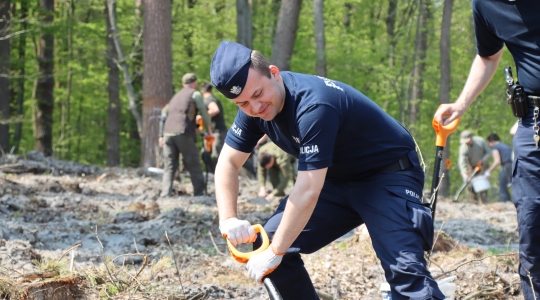 Zdjęcie 47 - Łączą Nas Drzewa - akcja nasadzeń w kraśnickim lesie