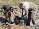 Zdjęcie 48 - Łączą Nas Drzewa - akcja nasadzeń w kraśnickim lesie