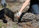 Zdjęcie 51 - Łączą Nas Drzewa - akcja nasadzeń w kraśnickim lesie