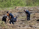 Zdjęcie 55 - Łączą Nas Drzewa - akcja nasadzeń w kraśnickim lesie