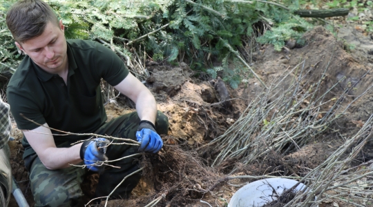 Zdjęcie 57 - Łączą Nas Drzewa - akcja nasadzeń w kraśnickim lesie