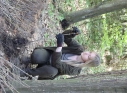Zdjęcie 58 - Łączą Nas Drzewa - akcja nasadzeń w kraśnickim lesie