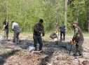 Zdjęcie 61 - Łączą Nas Drzewa - akcja nasadzeń w kraśnickim lesie