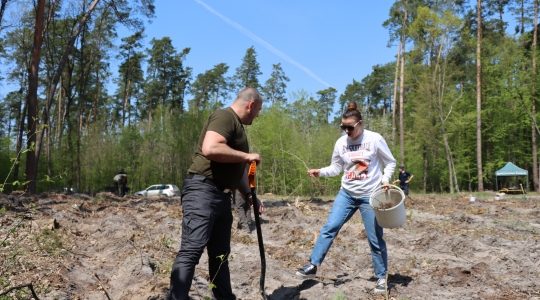 Zdjęcie 63 - Łączą Nas Drzewa - akcja nasadzeń w kraśnickim lesie