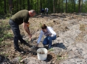 Zdjęcie 64 - Łączą Nas Drzewa - akcja nasadzeń w kraśnickim lesie