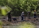Zdjęcie 66 - Łączą Nas Drzewa - akcja nasadzeń w kraśnickim lesie