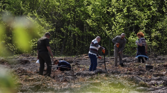 Zdjęcie 66 - Łączą Nas Drzewa - akcja nasadzeń w kraśnickim lesie