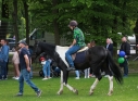 Zdjęcie 124 - Kraśnicki Dzień Dziecka na MOSiR