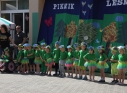 Zdjęcie 17 - Rodzinny Piknik Leśny w SP2
