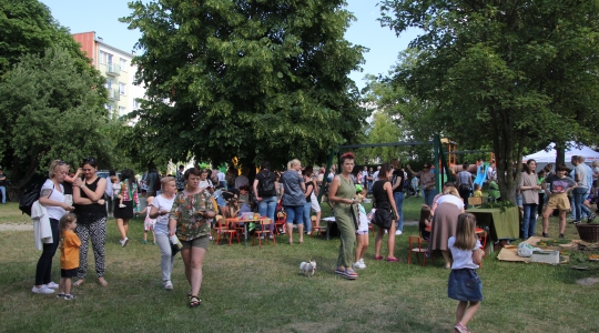 Zdjęcie 50 - Rodzinny Piknik Leśny w SP2