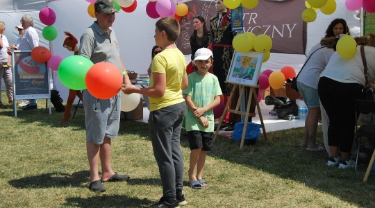Zdjęcie 14 - Rodzinny Piknik Europejski nad zalewem Kraśnickim