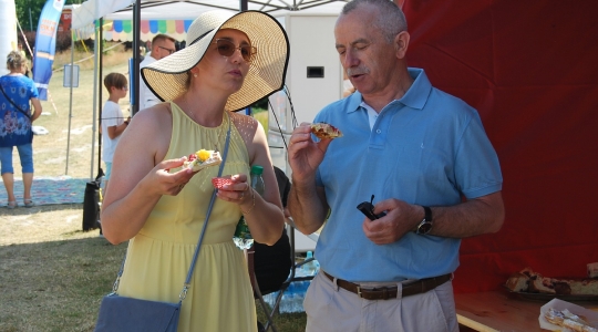 Zdjęcie 64 - Rodzinny Piknik Europejski nad zalewem Kraśnickim