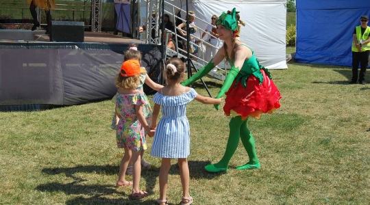 Zdjęcie 71 - Rodzinny Piknik Europejski nad zalewem Kraśnickim