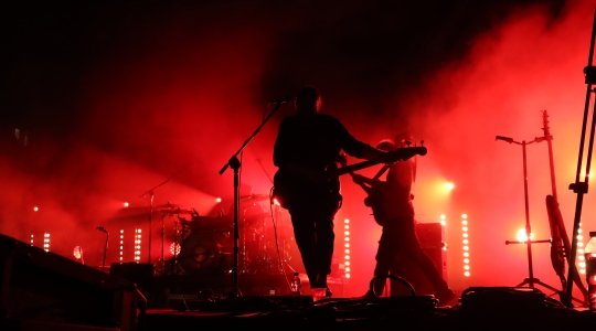 Zdjęcie 9 - Koncert Organek, Bovska, Pawkin, Alien