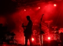 Zdjęcie 12 - Koncert Organek, Bovska, Pawkin, Alien