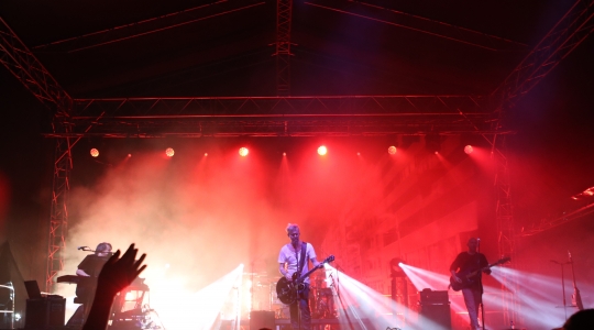 Zdjęcie 15 - Koncert Organek, Bovska, Pawkin, Alien