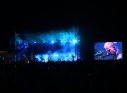 Zdjęcie 49 - Koncert Organek, Bovska, Pawkin, Alien