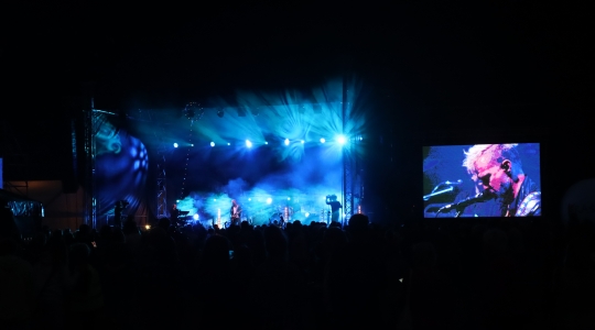 Zdjęcie 49 - Koncert Organek, Bovska, Pawkin, Alien