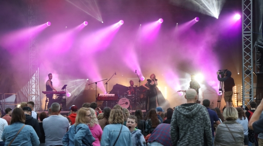 Zdjęcie 141 - Koncert Organek, Bovska, Pawkin, Alien