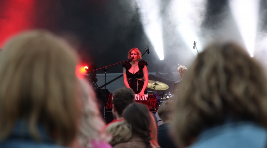 Zdjęcie 143 - Koncert Organek, Bovska, Pawkin, Alien