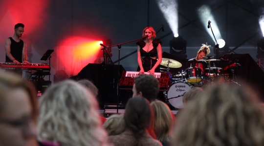 Zdjęcie 144 - Koncert Organek, Bovska, Pawkin, Alien