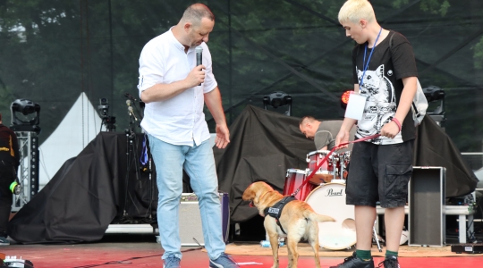 Zdjęcie 162 - Koncert Organek, Bovska, Pawkin, Alien