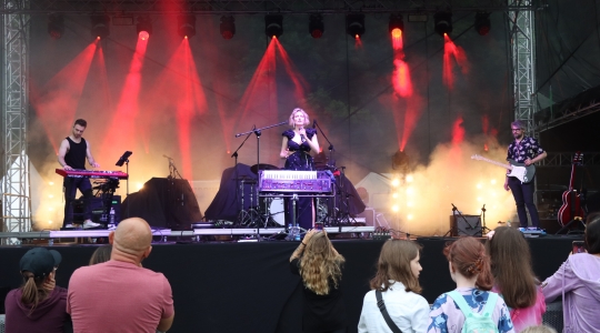 Zdjęcie 203 - Koncert Organek, Bovska, Pawkin, Alien