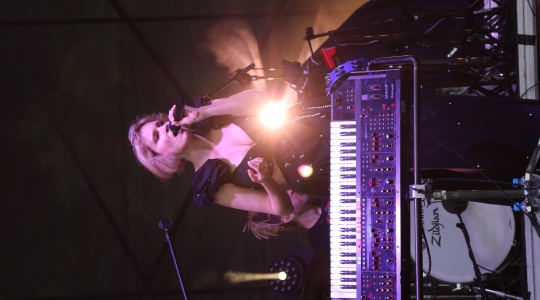 Zdjęcie 206 - Koncert Organek, Bovska, Pawkin, Alien