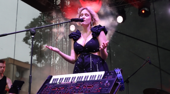 Zdjęcie 211 - Koncert Organek, Bovska, Pawkin, Alien