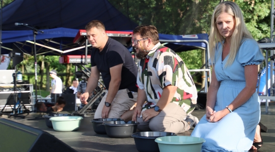 Zdjęcie 59 - Trzecia odsłona Dni Kraśnika w parku Jana Pawła II