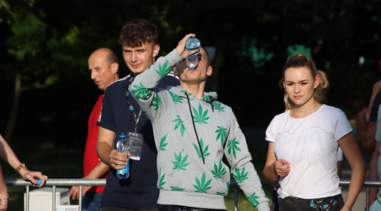 Zdjęcie 94 - Trzecia odsłona Dni Kraśnika w parku Jana Pawła II