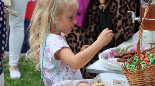 Zdjęcie 10 - Piknik Rodzinny z okazji Świąt Patronki Miasta i Wojska Polskiego