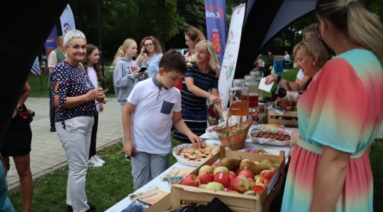 Zdjęcie 11 - Piknik Rodzinny z okazji Świąt Patronki Miasta i Wojska Polskiego