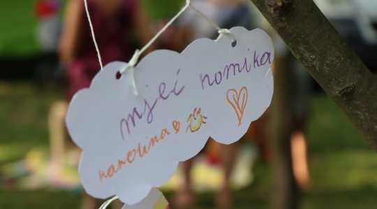 Zdjęcie 82 - Piknik Rodzinny z okazji Świąt Patronki Miasta i Wojska Polskiego