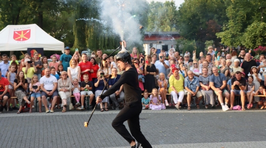 Zdjęcie 99 - Piknik Rodzinny z okazji Świąt Patronki Miasta i Wojska Polskiego