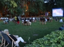 Zdjęcie 102 - Piknik Rodzinny z okazji Świąt Patronki Miasta i Wojska Polskiego