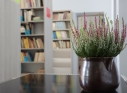 Zdjęcie 48 - Nowa biblioteka szkolna w SP2