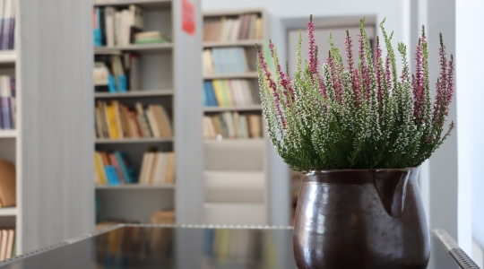Zdjęcie 48 - Nowa biblioteka szkolna w SP2
