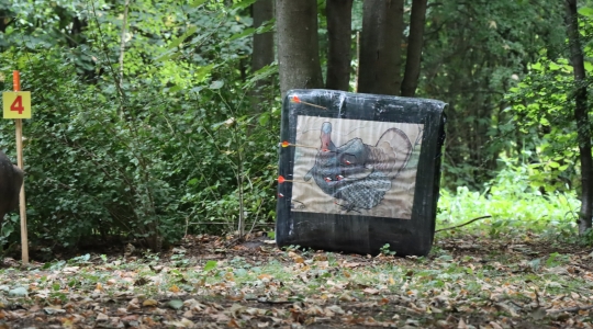 Zdjęcie 90 - IV Ogólnopolski Turniej Łuczniczy "Na Zamkowym Wzgórzu"