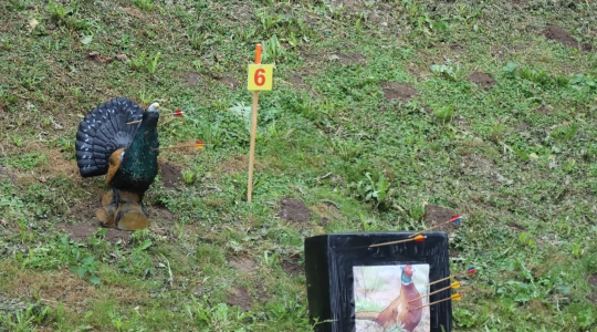 Zdjęcie 92 - IV Ogólnopolski Turniej Łuczniczy "Na Zamkowym Wzgórzu"