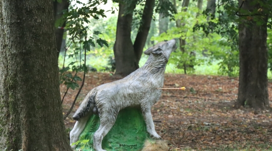 Zdjęcie 159 - IV Ogólnopolski Turniej Łuczniczy "Na Zamkowym Wzgórzu"