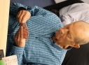 Zdjęcie 42 - XXV Turniej Ziemi Kraśnickiej w Brydżu Sportowym